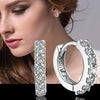 925 Sterling Silver Crystal Row Luxury Silver Earrings For Women