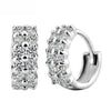 925 Sterling Silver Crystal Row Luxury Silver Earrings For Women
