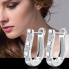 925 Sterling Silver Crystal Row Luxury Silver Earrings For Women
