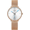 Waterproof Rose Gold Casual Watch For Women