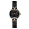 Classic Black Steel Mesh Wrist Watch For Women