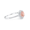 925 Sterling Silver 6 Prong Round CZ Split Shank Wedding Engagement Ring
