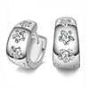925 Sterling Silver Crystal Row Luxury Silver Earrings For Women