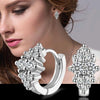 925 Sterling Silver Crystal Row Luxury Silver Earrings For Women